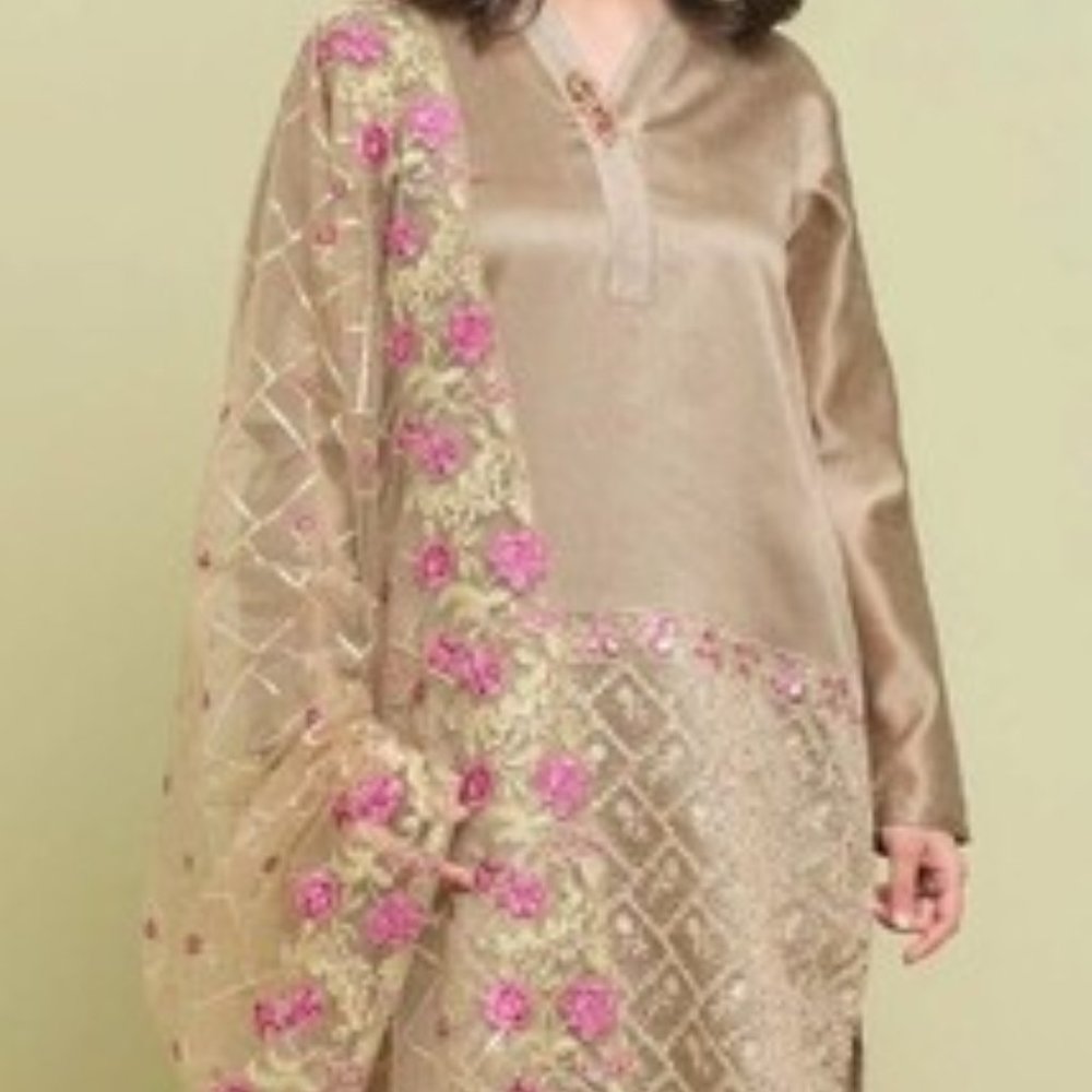 Beechtree pakistani outfit size 10